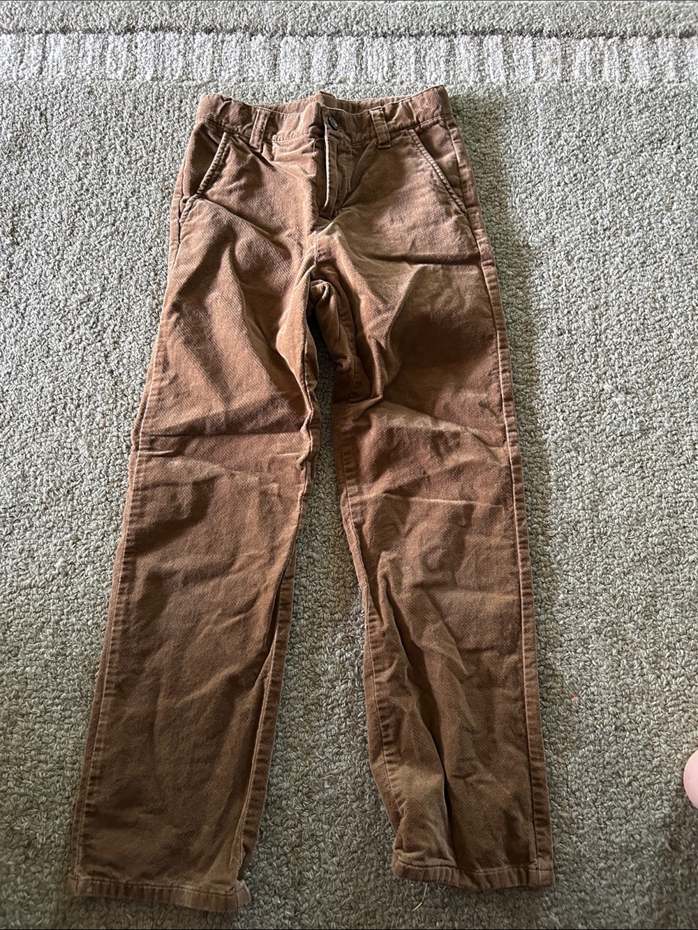 Janie and Jack Brown velour Kids' Dress Pants